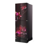Whirlpool Fresh Magic Pro 278L Inverter Floret Red Refrigerator - Image 2